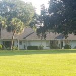 A house beside the trees